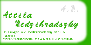 attila medzihradszky business card